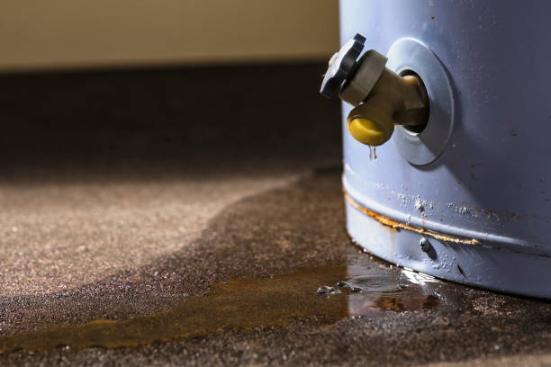 Best Water damage contractors near me  in Nd Point, WI