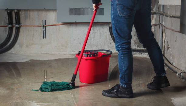 Best Water damage restoration near me  in Nd Point, WI