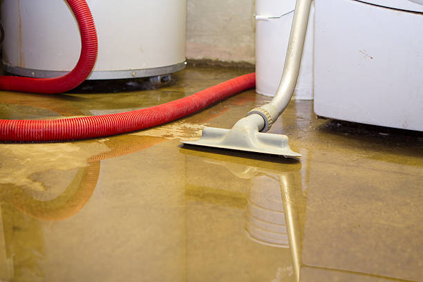 Best Ceiling water damage repair  in Nd Point, WI