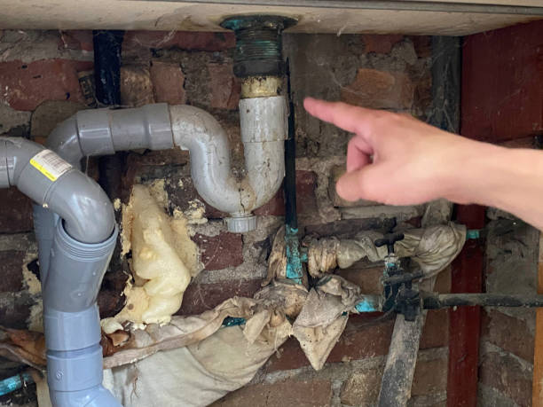 Best Basement water damage restoration  in Nd Point, WI