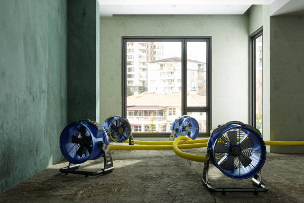 Best Sewage cleanup and water damage restoration  in Nd Point, WI