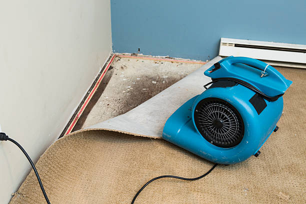 Best Flooded house restoration  in Nd Point, WI